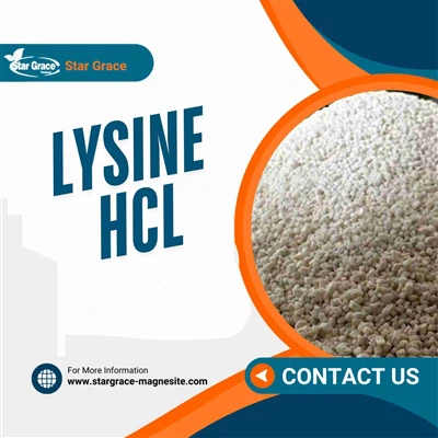 Turu ülevaade Lysiini HCL -ist