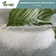 Epsomi sool 99% MgSO4.7H2O