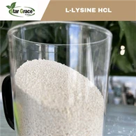 L-lüsiinmonovesinikkloriid 98,5%