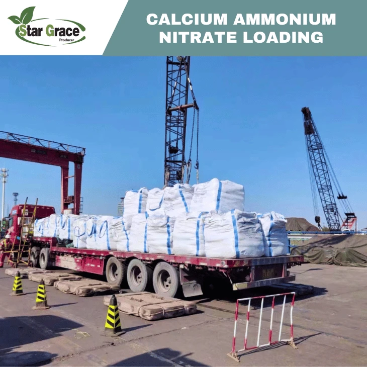 Calcium Ammonium Nitrate for Corn