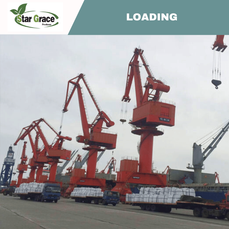 Ferrous Sulfate Heptahydrate (Fertilizer)