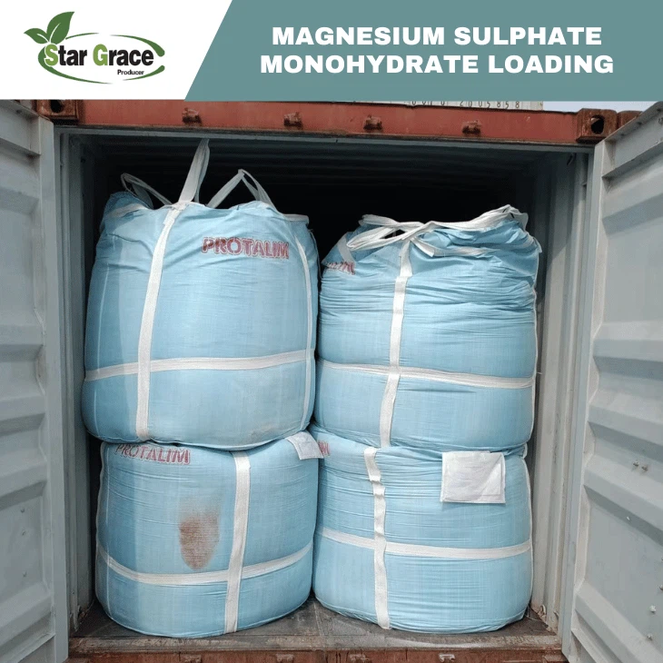 Kieserite Magnesium Sulphate Monohydrate (powder and Granular)
