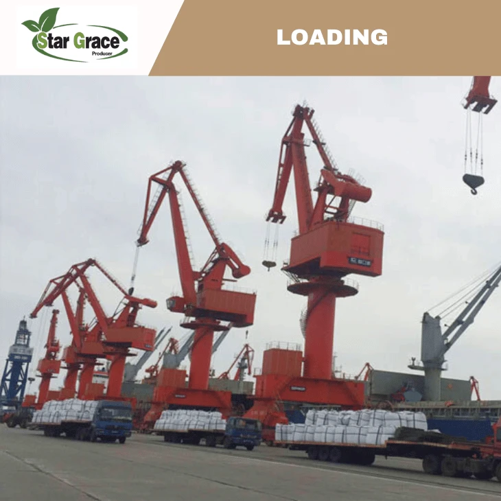 Lysine Sulphate Feed Grade