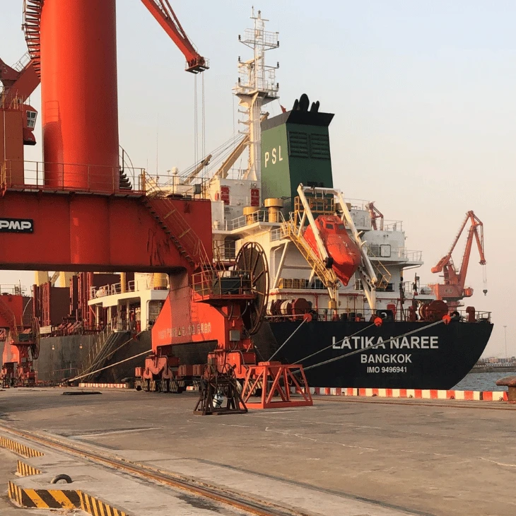Lysine Sulphate Feed Grade