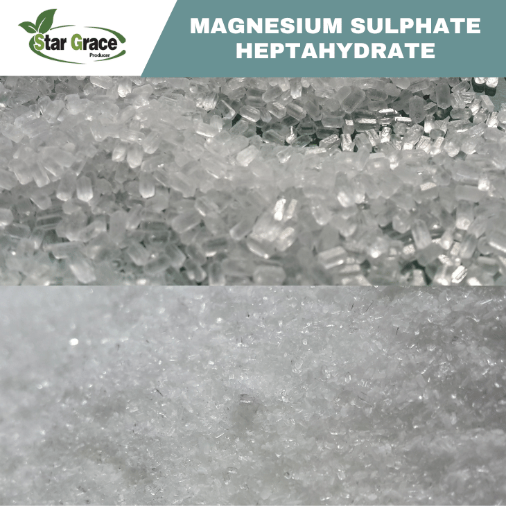 Magnesium Sulphate MgSO4 Epsom Salt