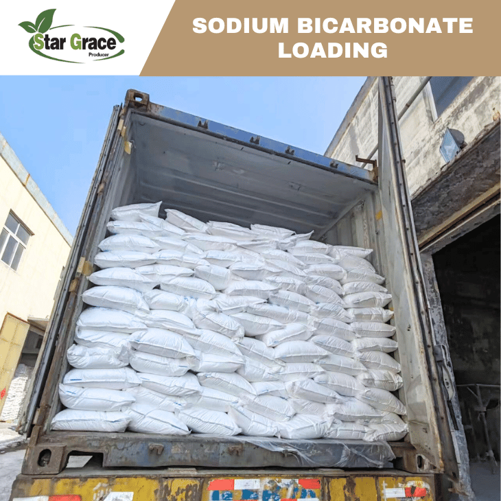 Sodium Bicarbonate And Hydrochloric Acid