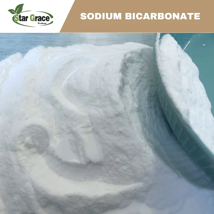 Sodium Bicarbonate Gerd